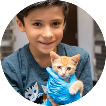 Young boy holding orange kitten in clinic