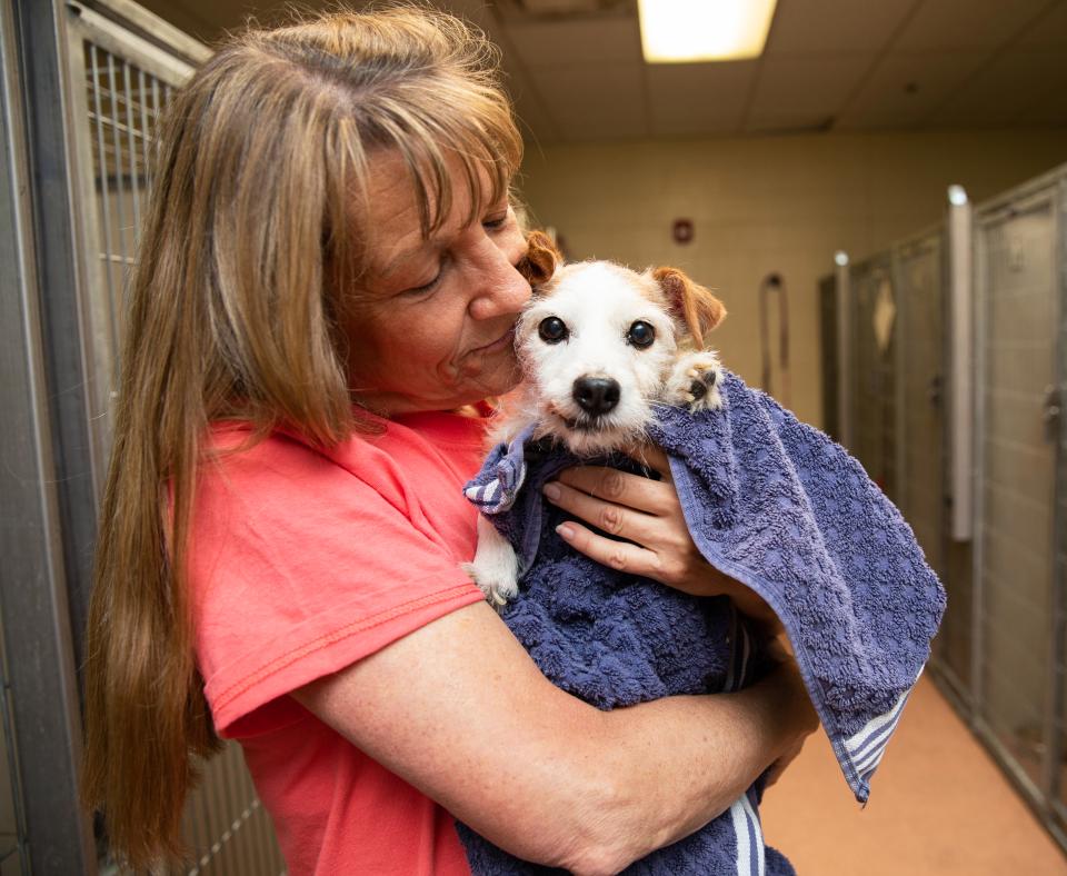 Person holding a small dog in their arms in a shelter