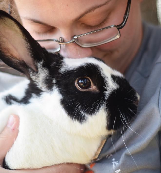 Woman cuddling with black and white rabbit