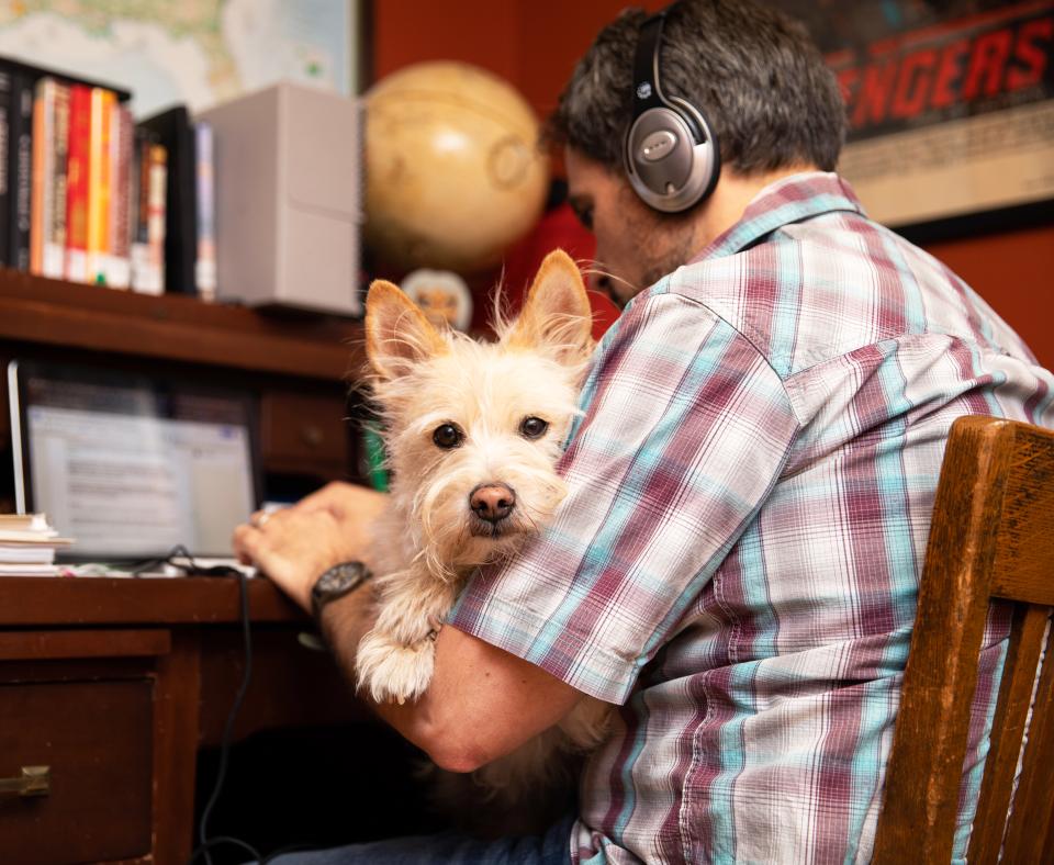 Person working on a computer in a living room with a dog on their lap