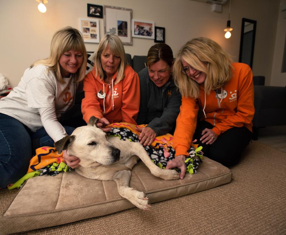 Group of smiling people petting a dog resting on a dog bed